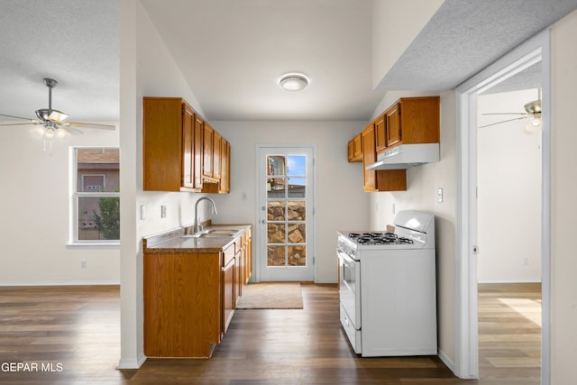 10980 Northampton St, El Paso, TX 79934 - kitchen featuring white range with gas cooktop, under cabinet range hood, a ceiling fan, and dark wood finished floors