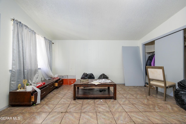 123 Marquita Ln, El Paso, TX 79915 - living room featuring a textured ceiling and vaulted ceiling