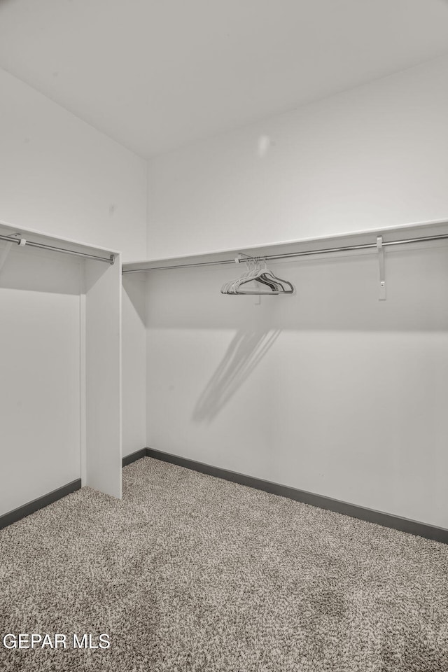 13699 Kathys Ct, El Paso, TX 79928 - spacious closet with carpet flooring