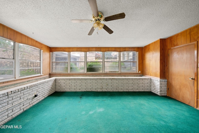 12031205 Madeline Dr, El Paso, TX 79902 - photo 28