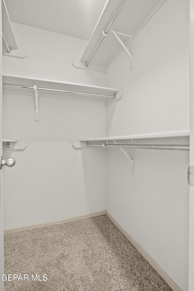 4609 Al Hernandez St, El Paso, TX 79938 - view of spacious closet