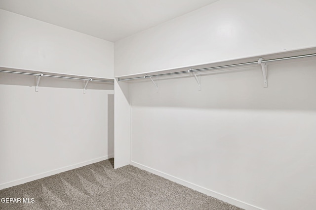 248 Farnborough St, El Paso, TX 79928 - spacious closet with carpet floors