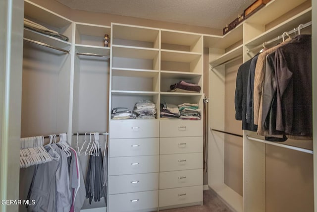 6316 Franklin Red Dr, El Paso, TX 79912 - view of spacious closet