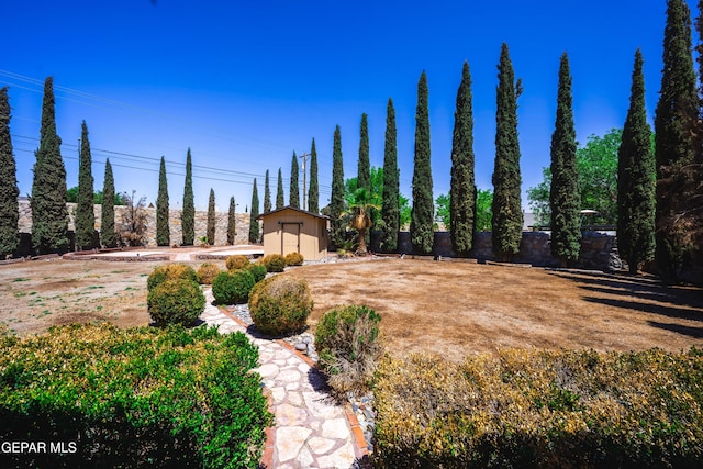 11713 Queens Garden Cir, El Paso, TX 79936 - view of yard featuring a storage unit