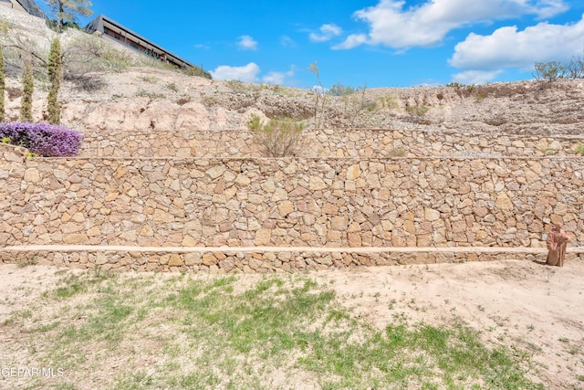 4540 N Stanton St, El Paso, TX 79902 - view of yard