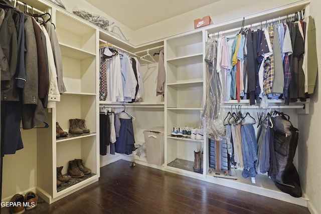 2072 Pueblo Nuevo Cir, El Paso, TX 79936 - walk in closet with hardwood / wood-style floors