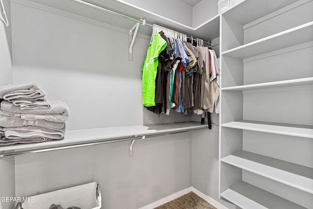 13594 Gatton St, El Paso, TX 79928 - spacious closet with carpet
