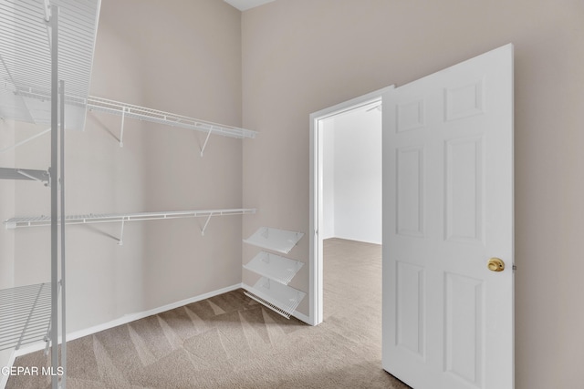 11905 Jim Webb Dr, El Paso, TX 79934 - walk in closet featuring carpet flooring