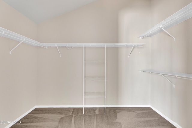 11905 Jim Webb Dr, El Paso, TX 79934 - walk in closet featuring carpet