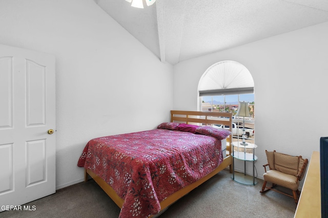 12090 Sterling Mary Way, El Paso, TX 79936 - bedroom with carpet flooring and vaulted ceiling