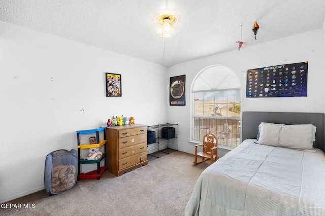 12090 Sterling Mary Way, El Paso, TX 79936 - bedroom featuring carpet floors