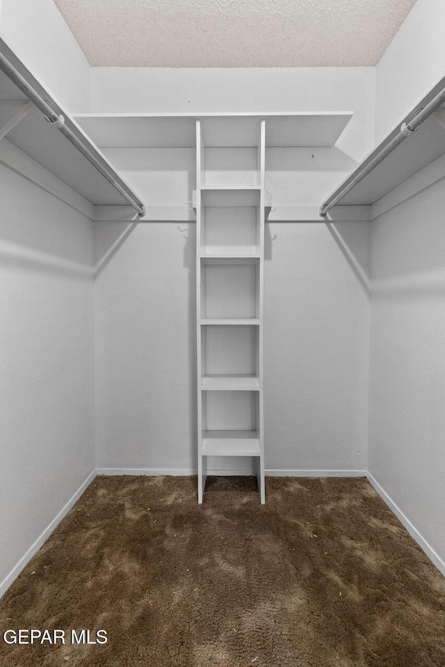 4821 Round Rock Dr, El Paso, TX 79924 - walk in closet with carpet floors