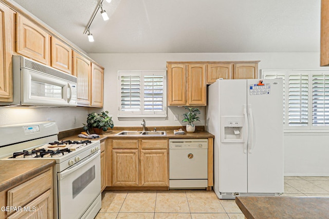 1400 Maple Ridge Way, El Paso, TX 79912 - photo 19