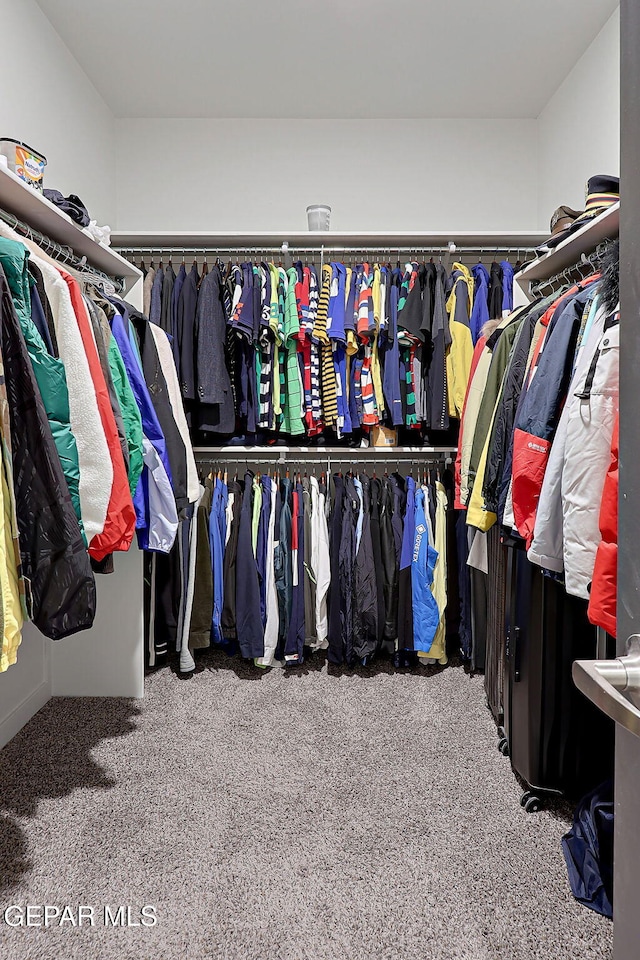 2362 Enchanted Crown Ln, El Paso, TX 79911 - spacious closet with carpet