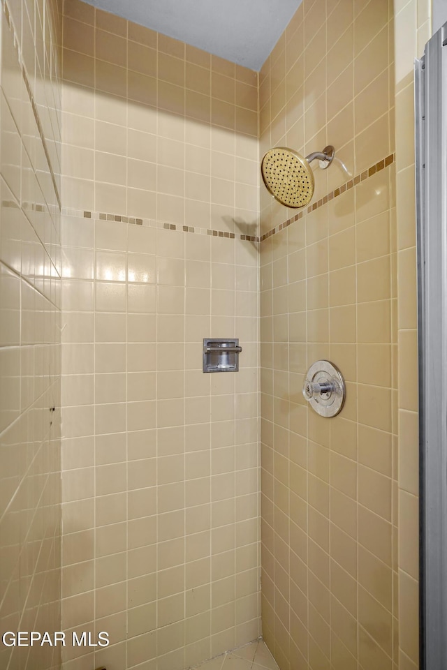6604 Camino Fuente Dr, El Paso, TX 79912 - bathroom with a tile shower