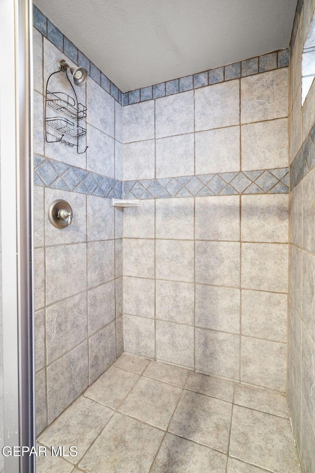 12247 Chisholm Pass Dr, El Paso, TX 79936 - bathroom featuring tiled shower