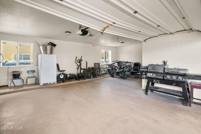 12247 Chisholm Pass Dr, El Paso, TX 79936 - garage featuring a garage door opener