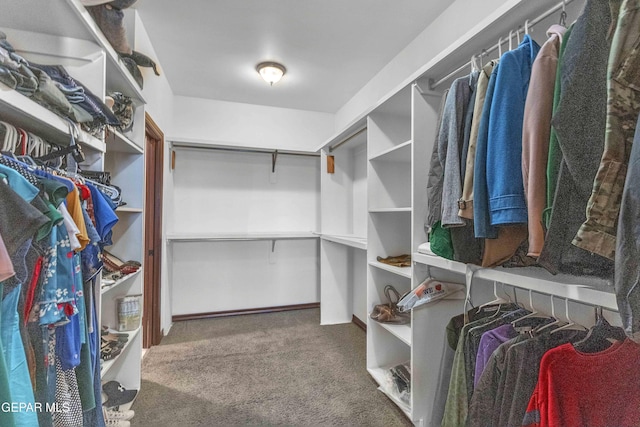 41 Sun Point Ln, El Paso, TX 79912 - spacious closet featuring carpet