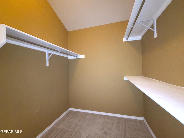 11805 Mesquite Bush Dr, El Paso, TX 79934 - photo 45