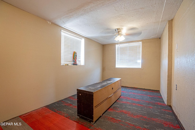 1360 Aleli Rd, San Elizario, TX 79849 - photo 14
