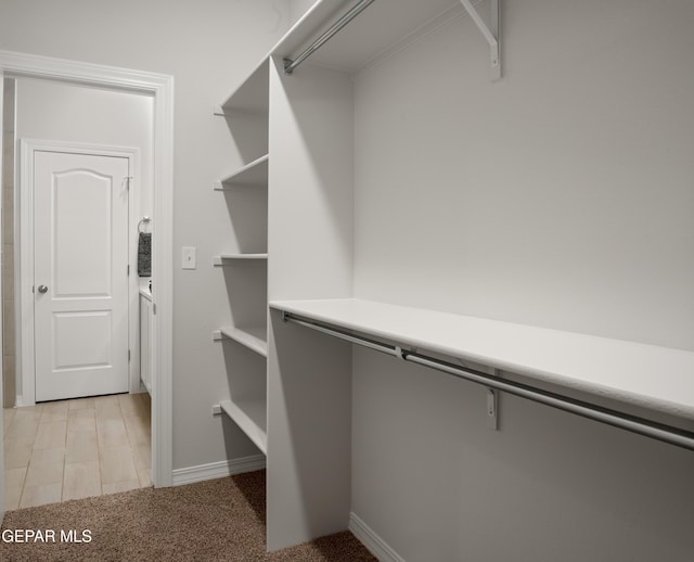 2221 Moon Loft Pl, El Paso, TX 79911 - spacious closet with light colored carpet