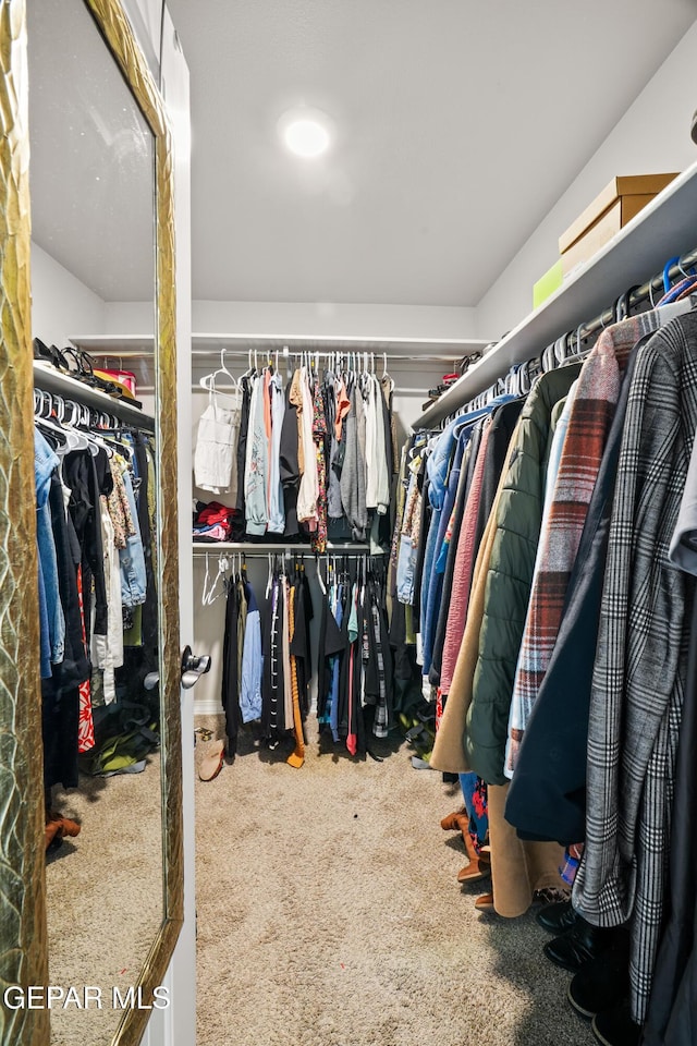 801 Hc Gilbert Minjares Dr Unit A, Socorro, TX 79927 - walk in closet featuring carpet flooring