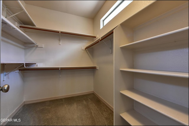 3517 Tierra Bahia Dr, El Paso, TX 79938 - spacious closet featuring carpet flooring