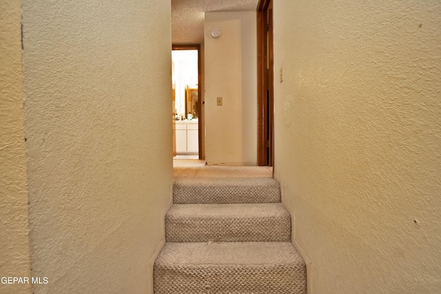 191 Mulberry Ave Unit B, El Paso, TX 79932 - photo 43