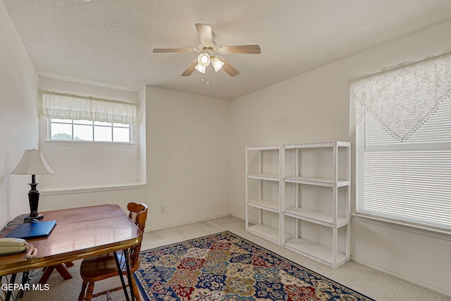 669 Linda Johnson Ave, El Paso, TX 79932 - photo 28
