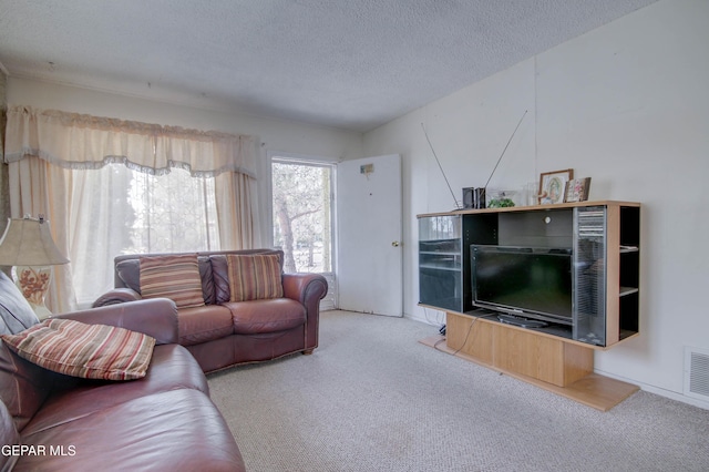 3605 Tyler Ave, El Paso, TX 79930 - photo 6