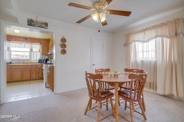 3605 Tyler Ave, El Paso, TX 79930 - photo 10