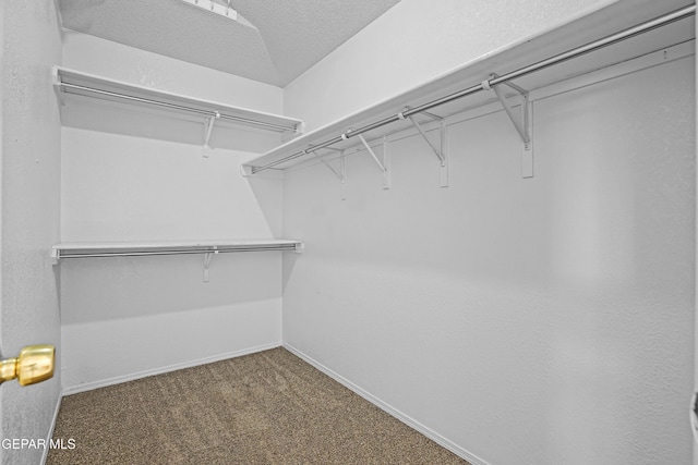 12163 Alex Guerrero Cir, El Paso, TX 79936 - photo 32