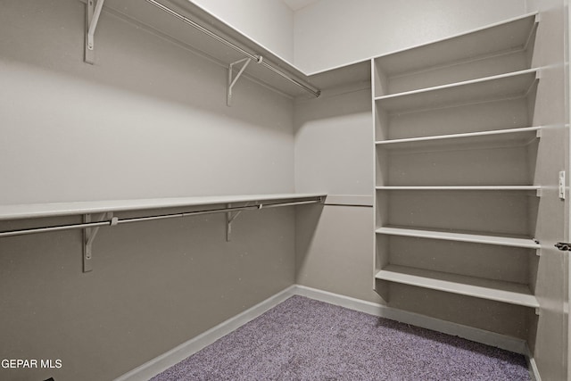 14769 Tim Hardaway, El Paso, TX 79938 - photo 24