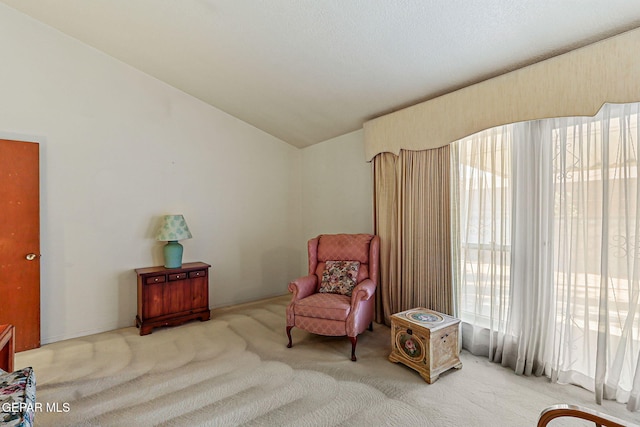 5344 Orleans Ave, El Paso, TX 79924 - photo 9