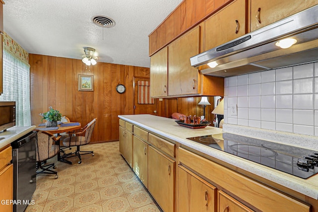 5344 Orleans Ave, El Paso, TX 79924 - photo 16