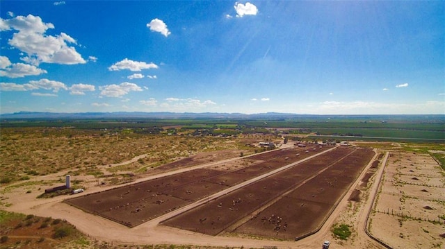14199 N Loop Dr, Clint, TX 79836 - photo 9