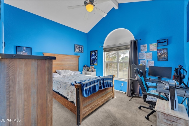 900 Via Redonda Ct, El Paso, TX 79912 - photo 20