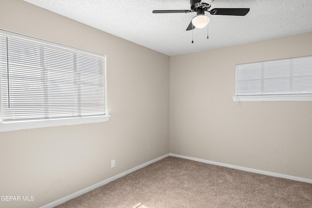 2517 Fir St, El Paso, TX 79925 - photo 24