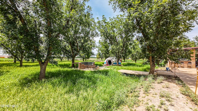 617 Wallace Rd, Anthony, NM 88021 - photo 73