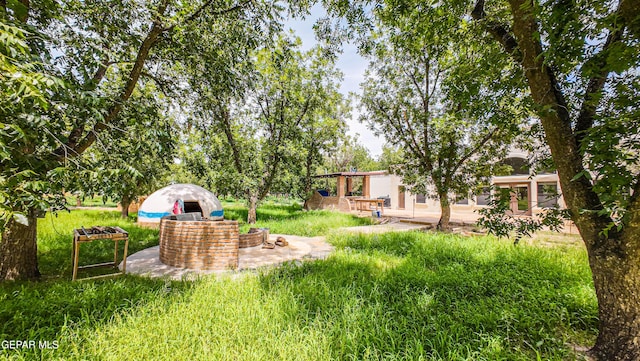 617 Wallace Rd, Anthony, NM 88021 - photo 75