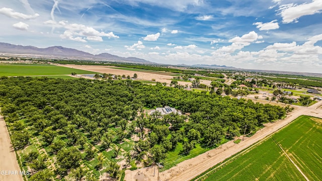 617 Wallace Rd, Anthony, NM 88021 - photo 4