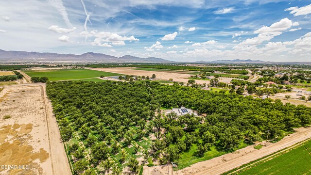 617 Wallace Rd, Anthony, NM 88021 - photo 76