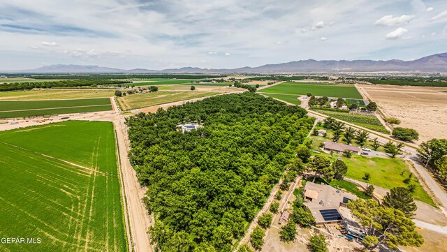 617 Wallace Rd, Anthony, NM 88021 - photo 78