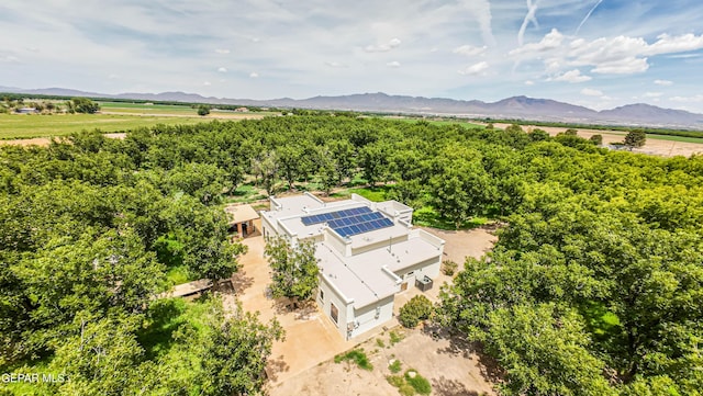 617 Wallace Rd, Anthony, NM 88021 - photo 83