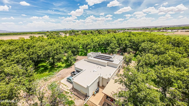 617 Wallace Rd, Anthony, NM 88021 - photo 84