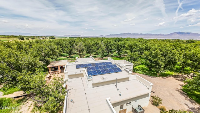 617 Wallace Rd, Anthony, NM 88021 - photo 85
