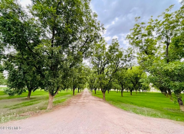 617 Wallace Rd, Anthony, NM 88021 - photo 87