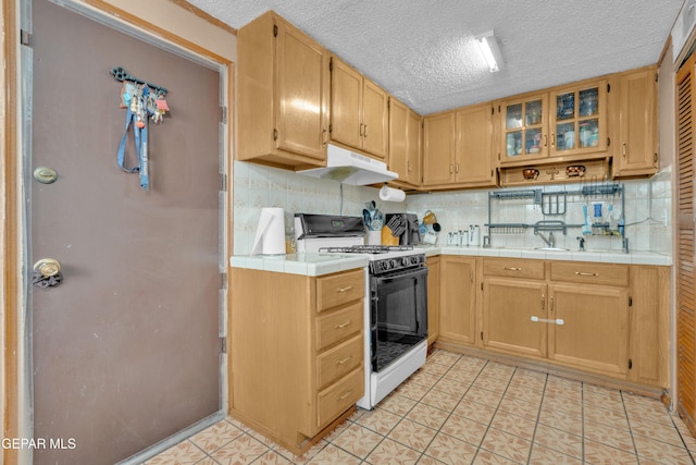 7413 Mimosa Ave, El Paso, TX 79915 - photo 11