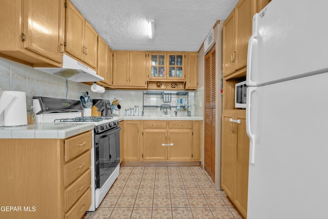 7413 Mimosa Ave, El Paso, TX 79915 - photo 10