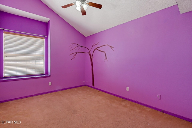 12193 Sun Arbor Pl, El Paso, TX 79928 - photo 15